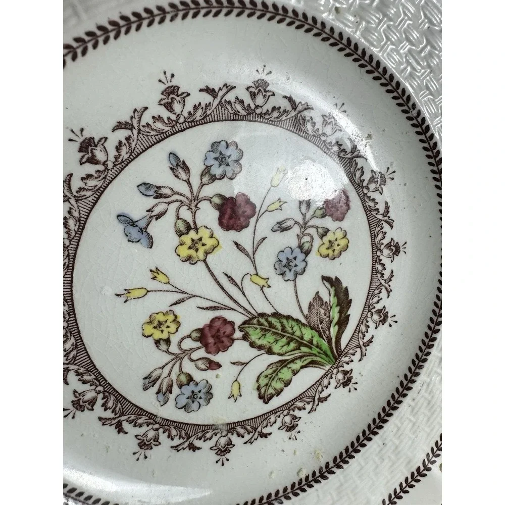 Spode Copeland Cowslip S713 England 7